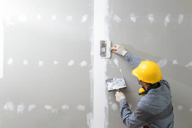 Best Crawl Space Mold Remediation  in Thorofare, NJ