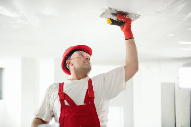 Best Real Estate Mold Inspection  in Thorofare, NJ