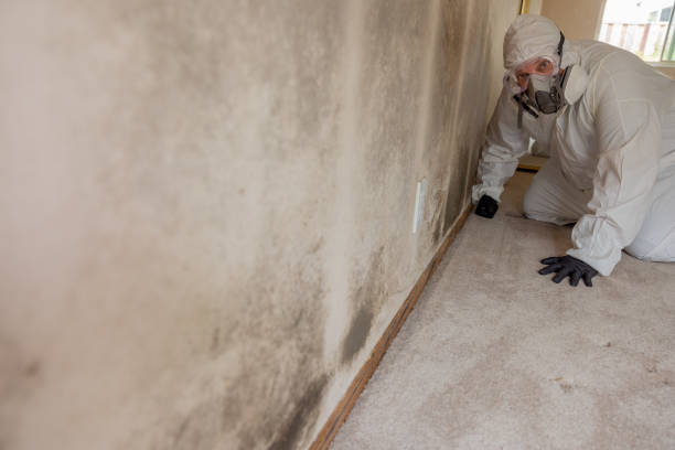 Best Industrial Mold Remediation  in Thorofare, NJ